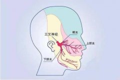 杭州御和堂老中医传授4种预防三叉神经痛的秘诀